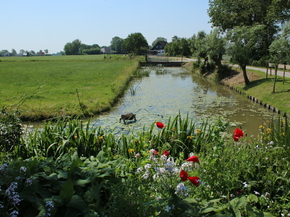 Tuinreis NH & Hoffelijke Tuinen 162.JPG